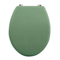 MSV Toilettensitz Grün - Breite: 45 cm - Länge: 37 cm - Detailfarbe: Grün