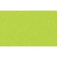 URSUS Tonzeichenpapier A4 2174651 130g, hellgrün 100 Blatt