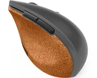 Lenovo Go - Maus - ergonomisch - optisch blau - 6 Tasten - kabellos - 2.4 GHz - kabelloser Empfänger (USB)