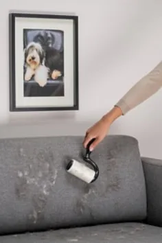 Scotch-Brite Pet Extra Sticky pet hair remover