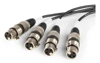 PD Connex Audio-Kabel CX192 XLR 3 Pole, female - RJ45 0.7 m - Kabeltyp: Audio Kabel - Audioanschluss Seite A: XLR 3 Pole - female - Audiokanäle: Stereo - Audioanschluss Seite B: RJ45 - Detailfarbe: Schwarz - Länge: 0.7 m