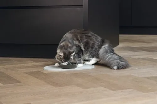 Designed by Lotte Platzset Oona Beige, 55 cm x 30 cm - Produkttyp: Napfunterlage - Tierart: Hund - Katze - Material: Silikon