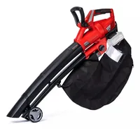 Einhell GE-CL 36 Li Akku-Laubsauger