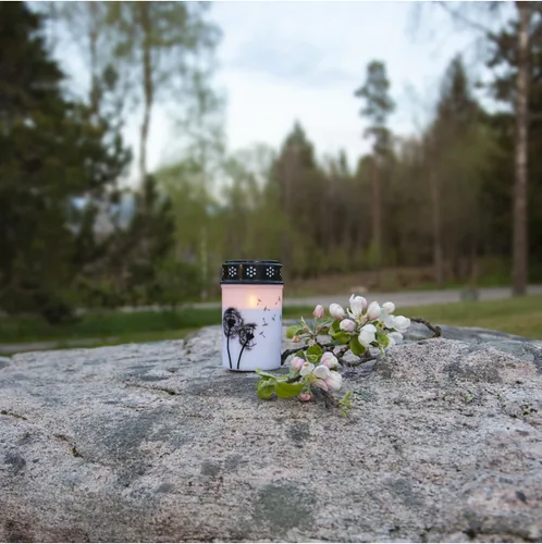 Star Trading LED Memorial Candle Dandelion