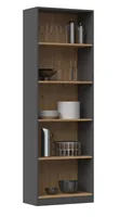 Topeshop R60 ANT/ART office bookcase