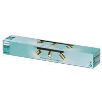 Philips 8720169299214 Lichtspot Schienenlichtschranke GU10 LED