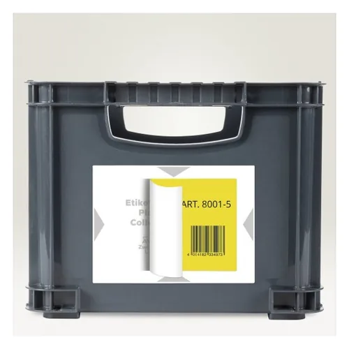 AVERY ZWECKFORM Träger-Etiketten 120x80mm 8001-5 hellgrau 20 Stk./5 Blatt
