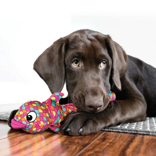 Kong Hunde-Spielzeug Wubba Finz Fisch S, pink - Produkttyp: Apportieren - Spielzeug - Tierart: Hund