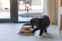 Designed by Lotte 440812 cat scratcher Cat scratching ball