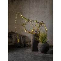 Star Trading Lichterkette Solar Dew Drop Micro, 100 LEDs, 740 cm, Grün - Produkttyp: Lichterkette - Betriebsart: Solarbetrieb - Set-Typ: Starterset - Fernbedienung: Nein - Smart Home: Nicht kompatibel - Lichtfarbe: Warmweiss (WW)