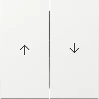 GIRA 329403 Wippe 2f Pfeil System 55 Reinweiß