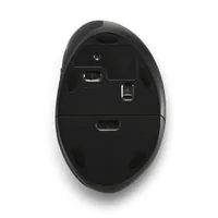 Kensington K79810WW souris RF sans fil 1600 DPI