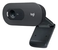 Logitech C505 - Webcam - Farbe - 720p - feste Brennweite