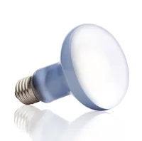 Exo Terra Terrarienlampe Daylight Basking Spot E27, R25/100W - Lampensockel: E27 - Lichtfarbe: Warmweiss (WW) - Gesamtleistung: 100 W - Lampentyp: Tageslichtlampe - UV-Lampe - Wärmelampe - Benötigt Vorschaltgerät: Nein - UV-Strahlung: UVA