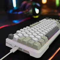 INCA Gaming Tastatur RGBGraySwitchUSB-CBT 2.00m weiß