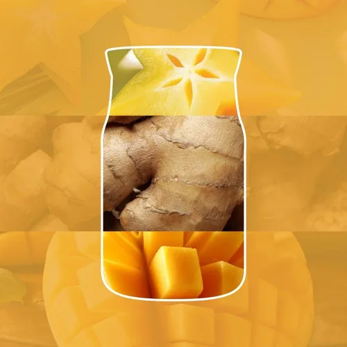 Yankee Candle Signature Starfruit & Sunshine Car Jars - Typ: Lufterfrischer - Funktionen: Beduften - Detailfarbe: Orange