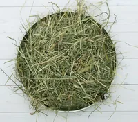 Bunny Nature 14211 small animal food Hay 1.7 kg Dwarf rabbit