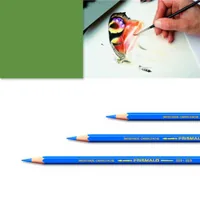 CARAN D'ACHE Farbstifte Prismalo 3mm 999.225 moosgrün