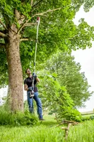 AL-KO Akku-Hochentaster CSA 4020, 36 V - Ausstattung: Ohne Zubehör - Betriebsart: Akkubetrieb - Produktkategorie: Hochentaster - Akkusystem: Keine - Schwertlänge: 20 cm