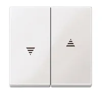 Merten 432419 light switch White