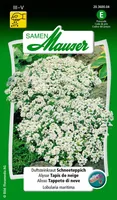 Samen Mauser 20360004 flower seeds/bulbs Lobularia maritima