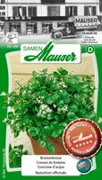 Samen Mauser 10663004 vegetable seed Garden cress