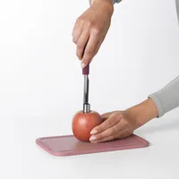 Brabantia Tasty+ Red Apple