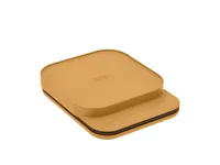 Rosti Küchenwaage Mensura Curry - Bedienungsart: Elektronisch - Messschritte: 1 g - Tara-Zuwiegefunktion: Ja - Detailfarbe: Curry - Gewicht Max.: 10 kg - Material: Kunststoff