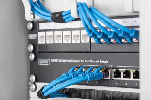 DIGITUS Kabelbürstenleiste 0,5HE 10"" 254mm grau
