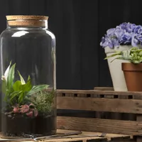 Esschert Design Terrarium-Flasche L, 18.5 x 41.3 cm - Aufhängevorrichtung: Nein - Detailfarbe: Transparent - Detailmaterial: Glas - Kork - Grundmaterial: Glas - Kork