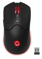 SPEEDLINK SL-680102-BK mouse Gaming USB Type-A 4800 DPI