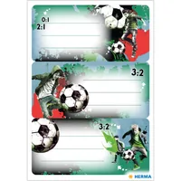 Herma Stickers Schuletiketten Street Soccer 3 Blatt / 9 Sticker - Produkttyp Bucheinbandprodukte: Schuletiketten - Detailfarbe: Grün