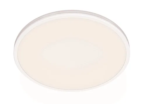 Philips Functional Ozziet Ceiling Light 22 W