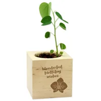 Feel Green 292581 flower seeds/bulbs
