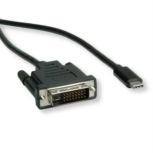 ROLINE 11045831 2 m DVI-D USB Type-C Black