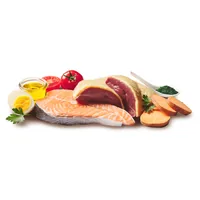 DOGGY Dog Nassfutter DoggyDog Schale Ente, Lachs Adult 150 g - Tierbedürfnis: Kein besonderes Bedürfnis - Geschmacksrichtung: Geflügel - Zertifikate: Keine Zertifizierung - Fleischsorte: Ente - Packungsgrösse: 150 g - Futtereigenschaft: Getreidefrei - Ohn