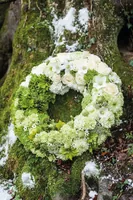 Opiflor Steckschaumkranz Ringo 40 cm - Detailfarbe: Grün