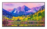 LG Hotel-TV 50UK762H 50 - Bildschirmdiagonale in Zoll: 50  - Auflösung: 3840 x 2160 (Ultra HD 4K) - Tuner-Signal: Analog - DVB-C (Kabel) - DVB-S2 (Satellit) - DVB-T2 (terrestrisch) - Detailfarbe: Schwarz - Bildschirmtechnologie: LED-LCD - Energieeffizienz