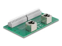DELOCK RJ50 2 x Buchse zu 2 x Terminalblockmit Drucktaster