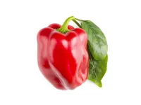 Click and Grow Samen Rote Peperoni - Bio: Nein - Sonneneinstrahlung: Hell und warm - Aussaatzeit: April - November - März - Mai - Juli - Dezember - Februar - Oktober - Juni - September - August - Januar - Gemüsegruppen: Fruchtgemüse - Saattyp: Saatgut - E