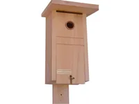 BEWO Nistkasten Bewo - Tierart: Vogel - Produkttyp: Nistkasten - Detailfarbe: Braun