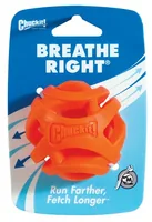 Chuckit! Hunde-Spielzeug Air Fetch Ball M, Ø 6.5 cm - Produkttyp: Spielzeug - Tierart: Hund