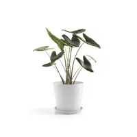 Ecopots Unterteller Rund 40, Weiss - Detailfarbe: Weiss - Material: Recycling-Kunststoff