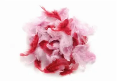 Glorex Federn Deco Rosa - Packungsgrösse: 1 Stück - Detailfarbe: Rosa