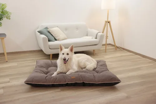 Kerbl 80459 dog / cat bed Pillow pet bed