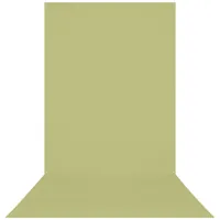 Westcott Hintergrund X-Drop Pro 150 x 370 cm Light Moss Green - 