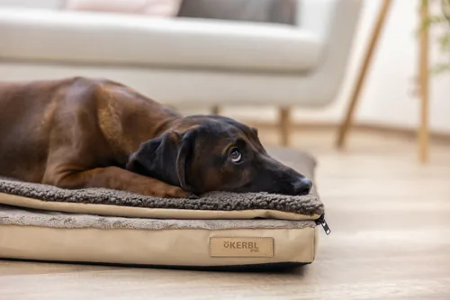 Kerbl Multifunktionsmatratze 72 x 50 x 5 cm - Produkttyp: Bett - Tierart: Hund - Detailfarbe: Braun - Breite: 72 cm - Länge: 50 cm