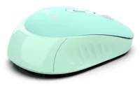 INCA Maus IWM-243RM 1600 DPI,CANDY DESIGN Mintgrün 2,4GHz
