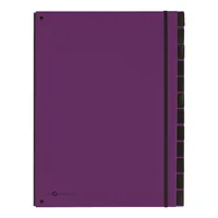 Pagna 24129-12 divider book Violett Karton, Polypropylen (PP) A4