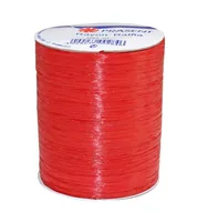 Pattberg 133-609 decorative ribbon/trim 1 pc(s) 100 m